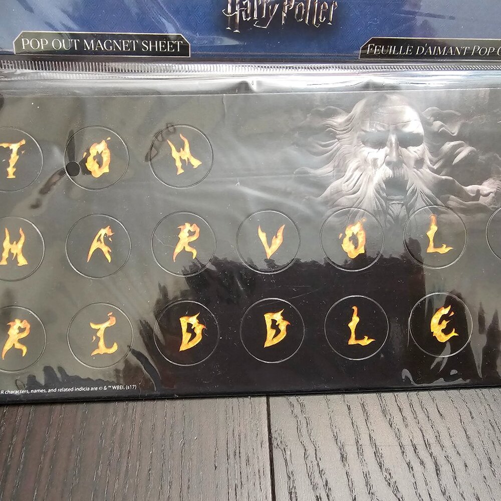 Harry Potter Loot Crate Exclusive Pop Out Magnet Tom Marvolo Riddle